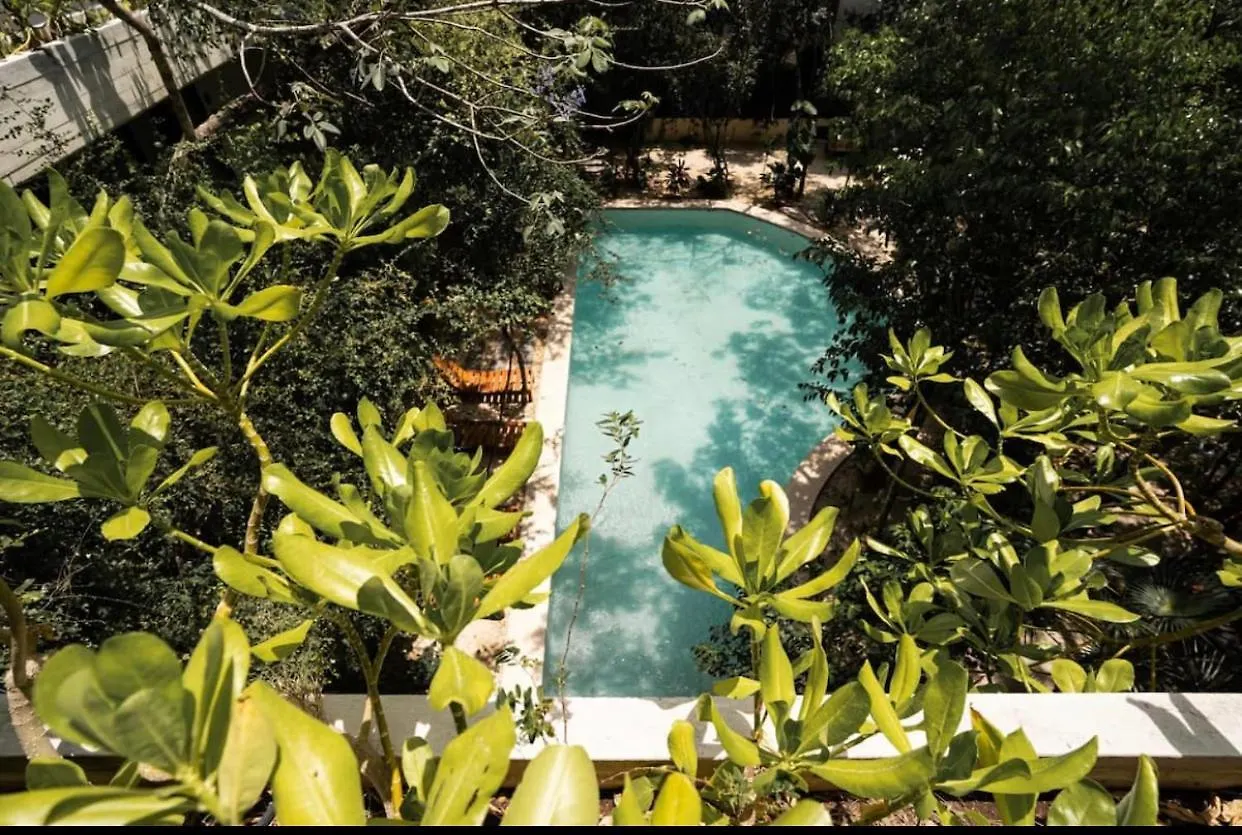 Апартаменты Penthouse En La Veleta Tulum Con Alberca Privada